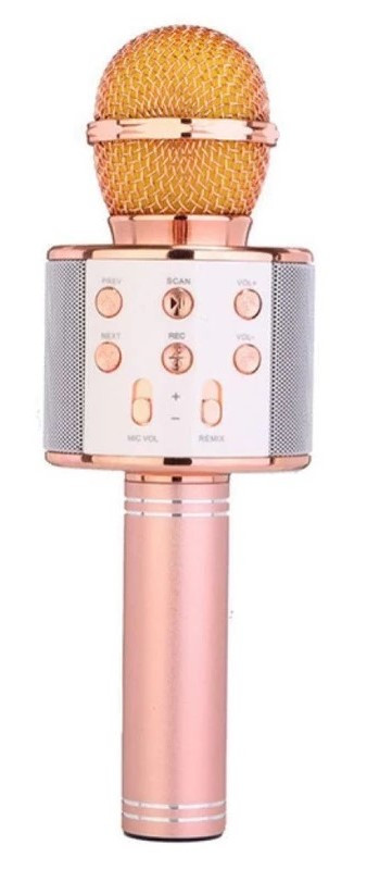 میکروفون اسپیکر مدل WS-858
